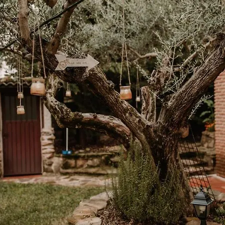 Casa Rural Con Piscina El Rincon De Abril Piedralaves
